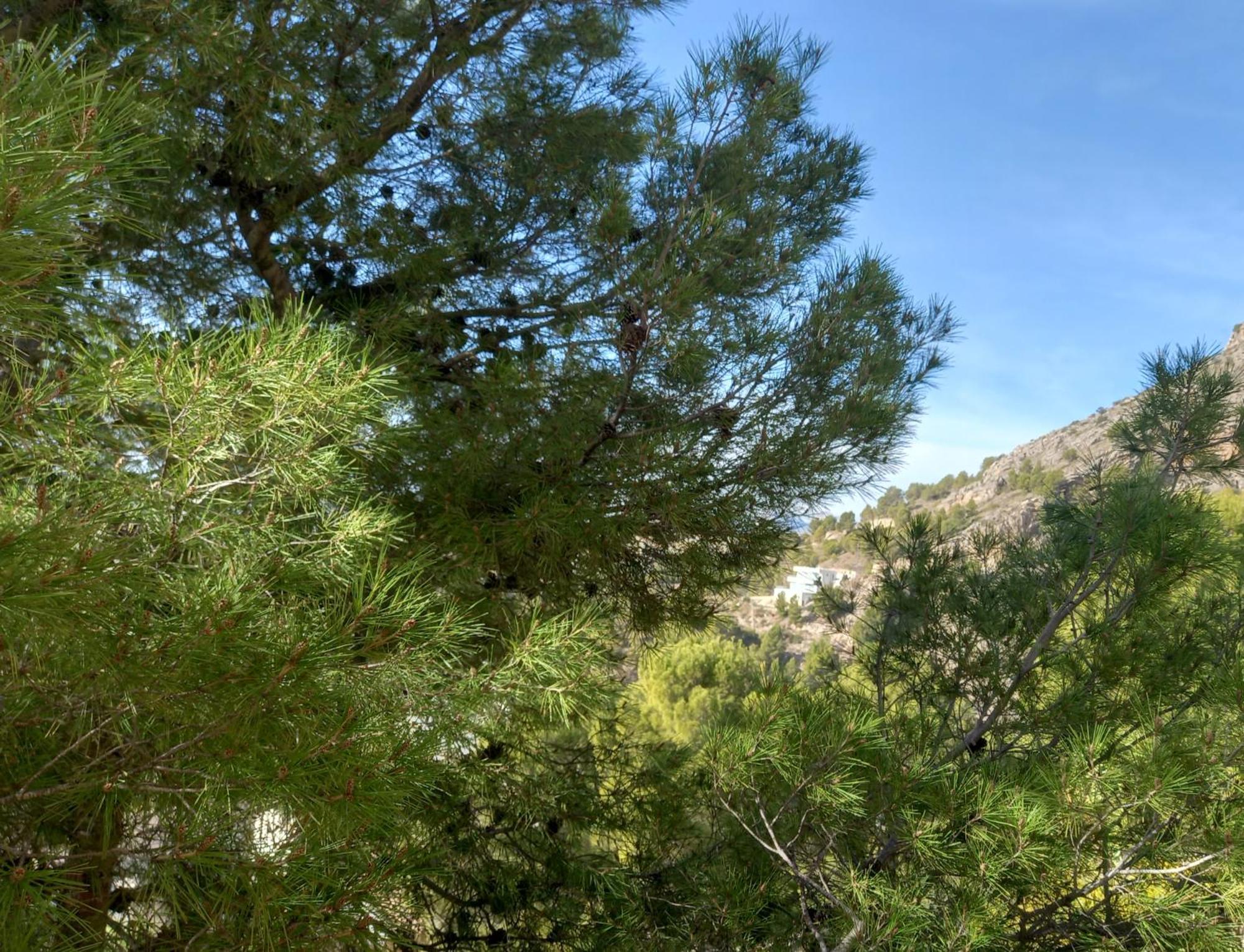 Willa Townhouse Altea Hills Zewnętrze zdjęcie